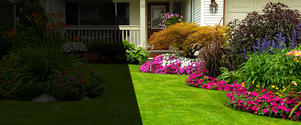 Somis Landscapers