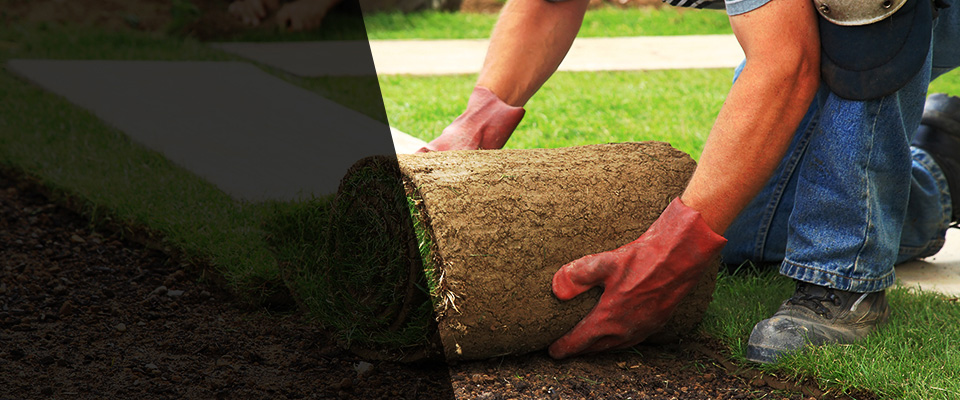 Somis Landscapers